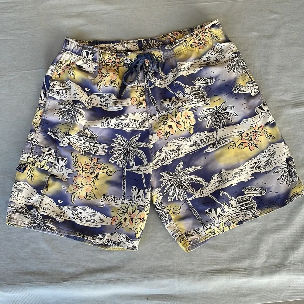 Big Dogs Men’s Swim Trunks. Colorful Hawaiian Palm.